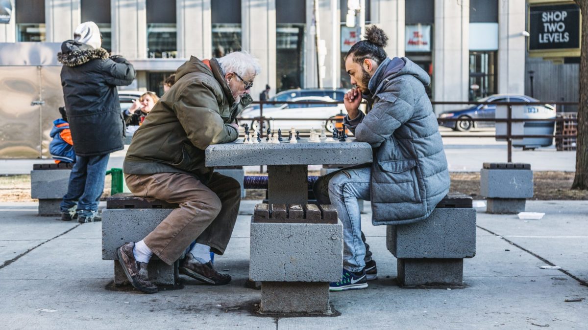 two person playing chess on park