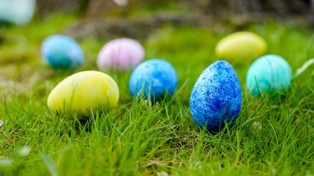 a group of colorful eggs in the grass