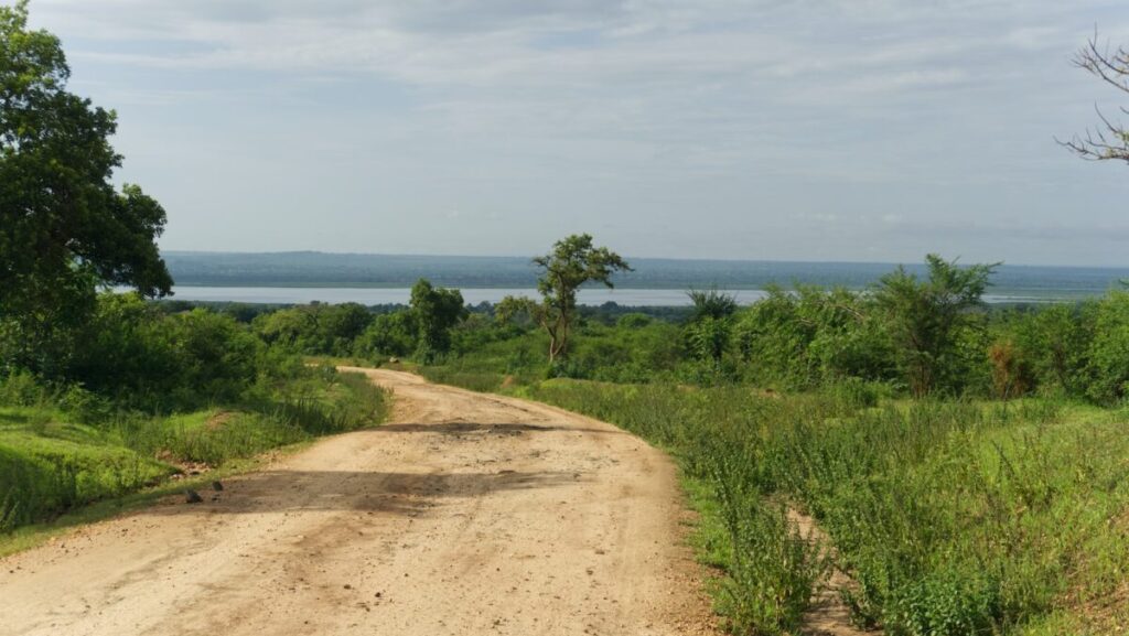 a dirt road in the middle of a field