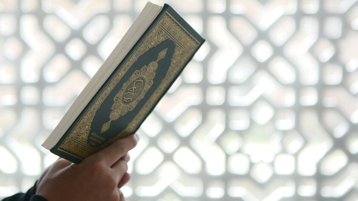 a person holding a book in their hands