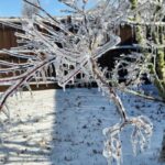 Latest news: Winter storm update; protecting churches during freezing temps; avoiding ministry burnout