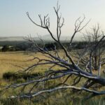 First person: Finding life in a dead relationship