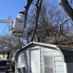 Disaster relief volunteers work in Mississippi after winter storm, in Alabama after tornado, winds