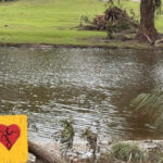 Alabama bill spotlights stronger camp regulations after Camp Mystic tragedy