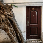 Missionaries in Central Asia: ‘The Lord has really given us unexpected fruit’