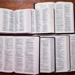 Comparing the variety of Bible formats