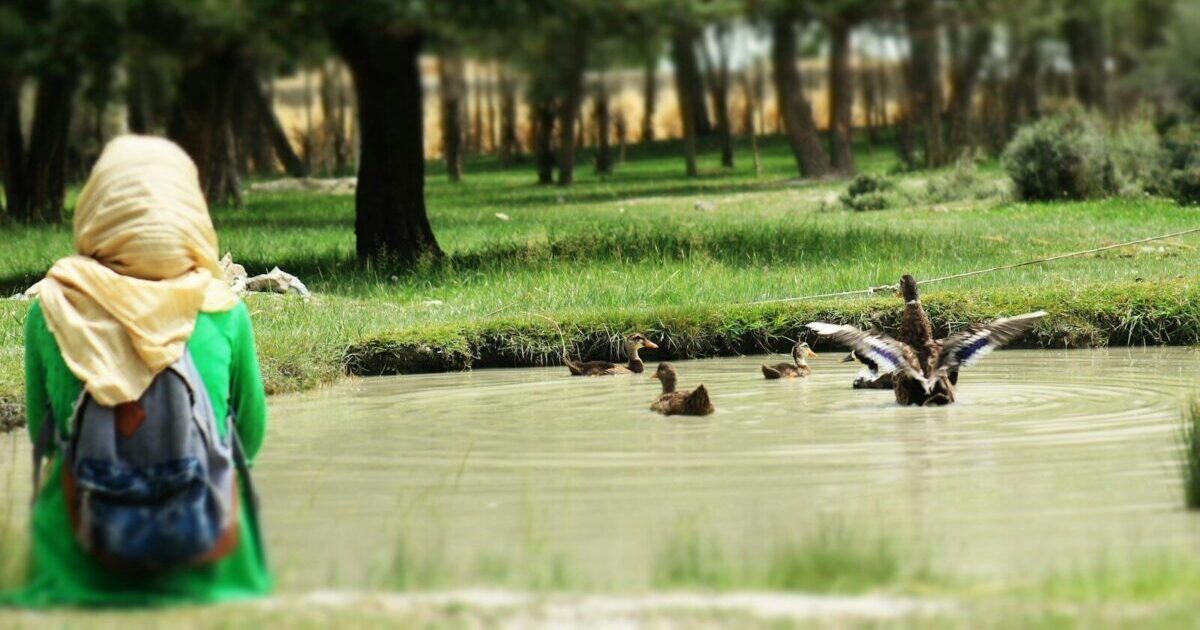 a woman sitting on a bench watching ducks in a pond