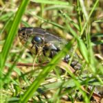 First person: 2 attacks of the enemy that need to be addressed now