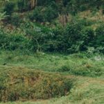 Man beaten unconscious for putting faith in Jesus