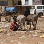 Relatives attack Somali Christian for putting faith in Jesus