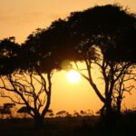 Christian beaten unconscious after evangelizing in Uganda