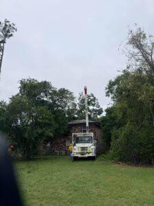 Truck clearing tree off roof