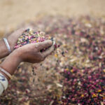 God transformed Myriam’s heart, now she shares faith regularly